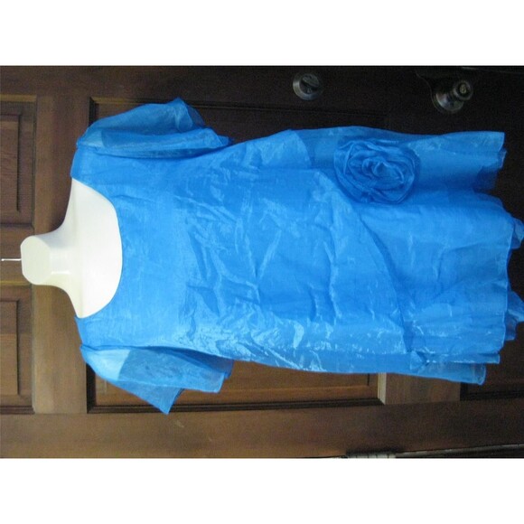 Graceful Women's Scoop Neck Blue Color Chiffon Short Sleeve Blouse - Picture 2 of 4